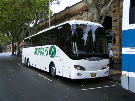 bci bus|bci bus australia.